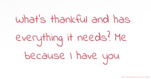 What's thankful and has everything it needs? Me because I have you.