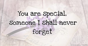 You are special, someone I shall never forget.