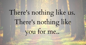 There's nothing like us. There's nothing like you for me..