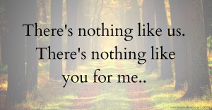There's nothing like us. There's nothing like you for me..