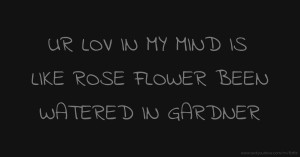 UR LOV IN MY MIND IS LIKE ROSE FLOWER BEEN WATERED IN GARDNER