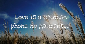 Love is a chinese phone no gaurantee.