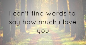 I can't find words to say how much i love you.