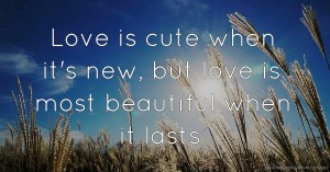 Love is cute when it's new, but love is most beautiful when it lasts.