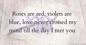 Roses are red, violets are blue, love never crossed my mind till the day I met you.