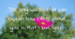 The only words that can explain how I feel about you is that I love you.