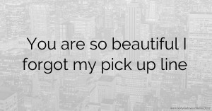 You are so beautiful I forgot my pick up line.