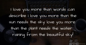 I love you more than words can describe i love you more than the sun needs the sky love you more than the plant needs the water raining from the beauitful sky!