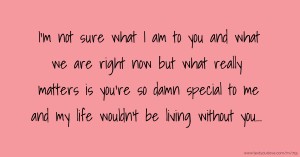 I’m not sure what I am to you and what we are right now but what really matters is you’re so damn special to me and my life wouldn't be living without you...