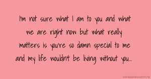 I’m not sure what I am to you and what we are right now but what really matters is you’re so damn special to me and my life wouldn't be living without you...