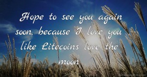 Hope to see you again soon, because I love you like Litecoins love the moon.