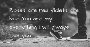 Roses are red  Violets are blue  You are my everything   I will always love you