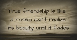 True friendship is like a rose,u can't realize its beauty until it fades