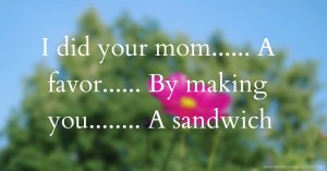I did your mom...... A favor...... By making you........ A sandwich