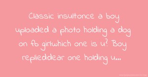 Classic insult:once a boy uploaded a photo holding a dog on fb  girl:which one is u?  Boy replied:dear one holding u...