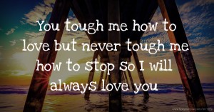 You tough me how to love but never tough me how to stop so I will always love you