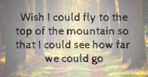 Wish I could fly to the top of the mountain so that I could see how far we could go.