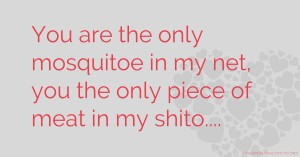 You are the only mosquitoe in my net, you the only piece of meat in my shito....