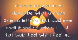 There's no words to describe what u mean 2me,no letters that culd ever spell it and no other Ŀ♡√Ɛ* that wuld feel wht I feel 4u