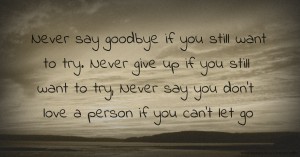Never say goodbye if you still want to try. Never give up if you still want to try, Never say you don't love a person if you can't let go.