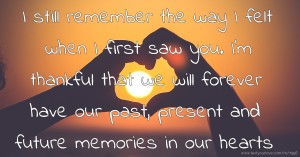 I still remember the way I felt when I first saw you. I'm thankful that we will forever have our past, present and future memories in our hearts.