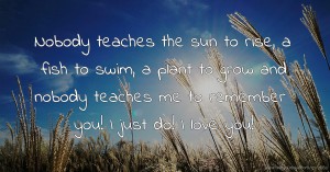 Nobody teaches the sun to rise, a fish to swim, a plant to grow and nobody teaches me to remember you! I just do! I love you!