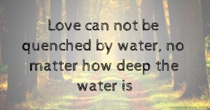 Love can not be quenched by water, no matter how deep the water is.
