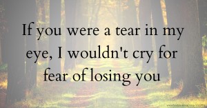 If you were a tear in my eye, I wouldn't cry for fear of losing you.