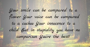 Your smile can be compared to a flower Your voice can be compared to a cuckoo Your innocence to a child But in stupidity you have no comparison You're the best!
