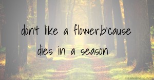 don't like a flower,b'cause dies in a season