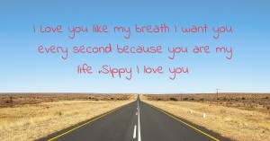 I Love you like my breath I want you every second  because you are my life .Sippy I love you