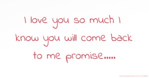 I love you so much I know you will come back to me promise.....