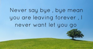 Never say bye , bye mean you are leaving forever , I never want let you go