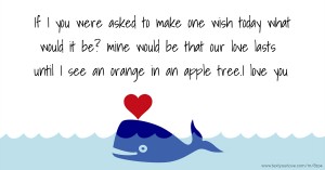 If I you were asked to make one wish today what would it be? mine would be that our love lasts until I see an orange in an apple tree.I love you