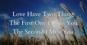 Love Have Two Thing The First One I Love You  The Second I Miss You