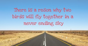 There is a reson why two birds will fly together in a never ending sky