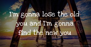 I'm gonna lose the old you and I'm gonna find the new you