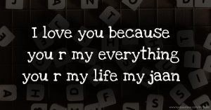 I love you because you r my everything you r my life my jaan