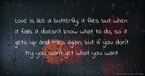 Love is like a butterfly; it flies but when it falls it doesn't know what to do, so it gets up and tries again, but if you don't try you won't get what you want.