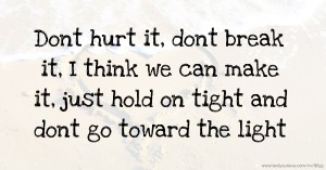 Dont hurt it, dont break it, I think we can make it, just hold on tight and dont go toward the light.