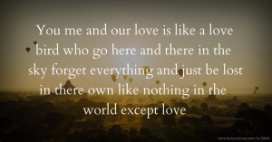 You me and our love is like a love bird who go here and there in the sky forget everything and just be lost in there own like nothing in the world except love