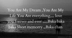 You Are My Dream ,You Are My Life You Are everything,,,, love you forever and ever ,,,,,Baka baka baka Short memorry ,,Baka chan