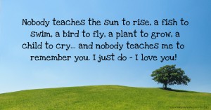 Nobody teaches the sun to rise, a fish to swim, a bird to fly, a plant to grow, a child to cry... and nobody teaches me to remember you. I just do - I love you!