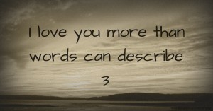 I love you more than words can describe 3