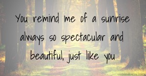 You remind me of a sunrise always so spectacular and beautiful, just like you.