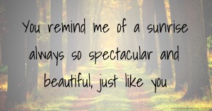 You remind me of a sunrise always so spectacular and beautiful, just like you.