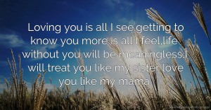 Loving you is all I see.getting to know you more is all I feel,life without you will be meaningless,I will treat you like my sister love you like my mama