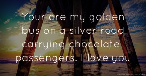 Your are my golden bus on a silver road carrying chocolate passengers. I love you