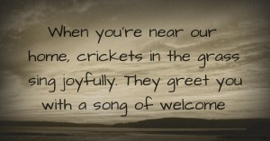 When you're near our home, crickets in the grass sing joyfully. They greet you with a song of welcome.