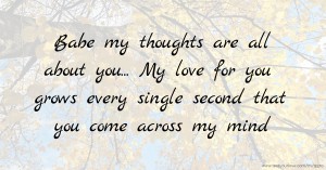 Babe my thoughts are all about you... My love for you grows every single second that you come across my mind.